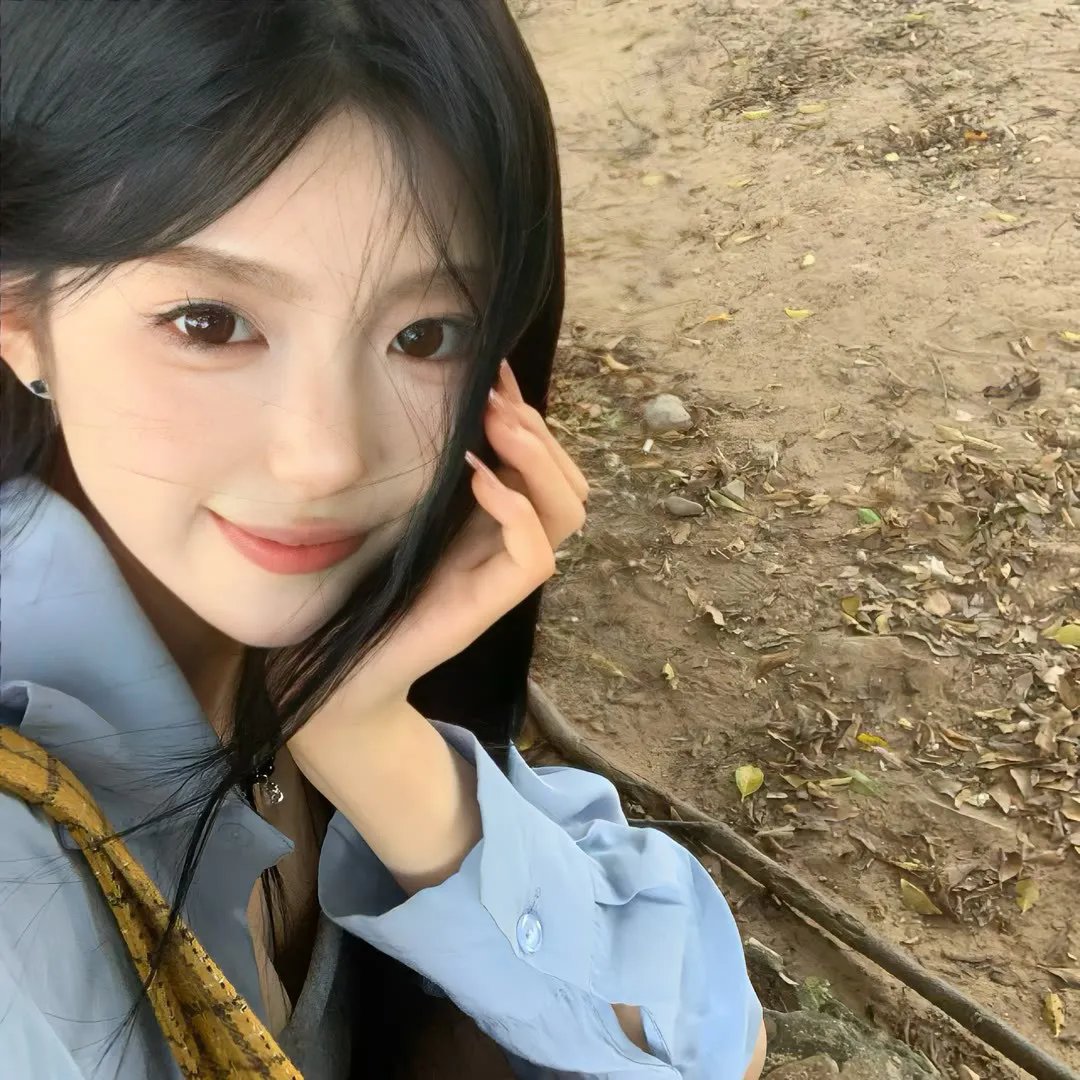 王朝的陷落